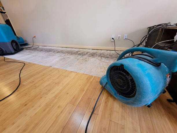 Reliable Basement Flood Cleanup contractor in West, TX by Hirex Water Damage
