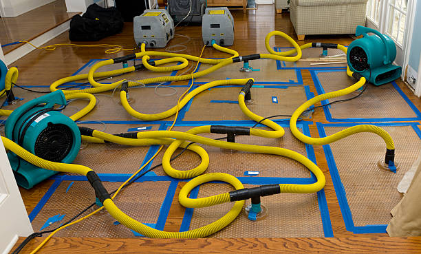 Professional Basement Flood Cleanup technician working in West, TX